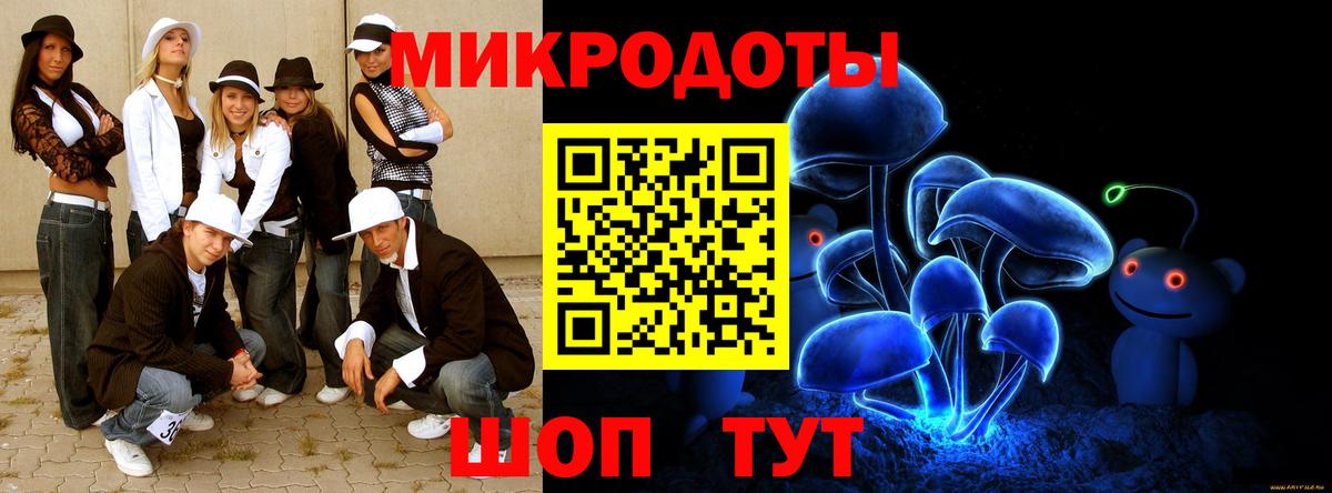 Кингисепп  Галлюциногенные грибы GOLDEN TEACHER  Вход с VPN  где найти наркотики  Псилоцибиновые грибы прущие грибы 